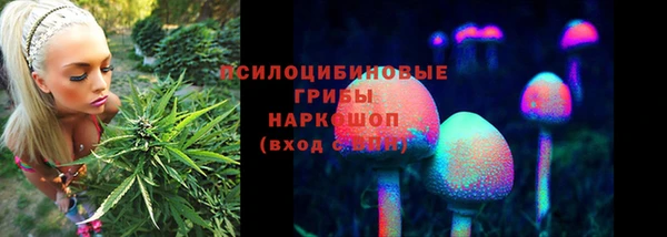 трава Алзамай